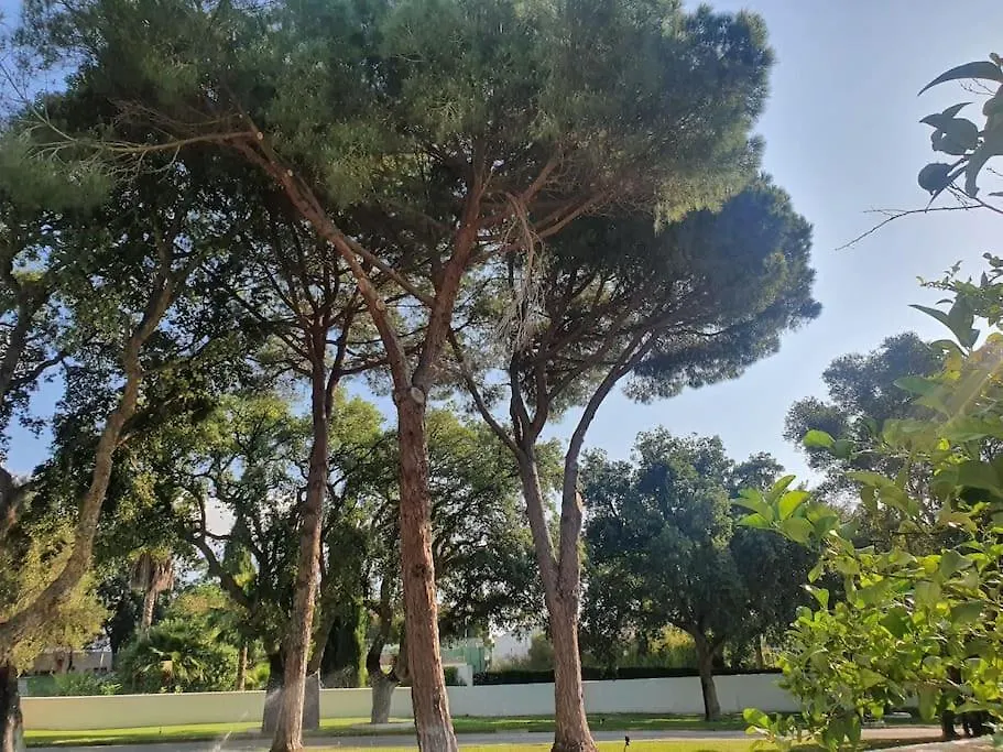 Apartamento En Sotogrande Los Cortijos Guadiaro Spain